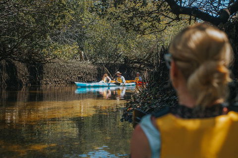 Kayak Tour In Adelaide Dolphin Sanctuary - Book Restaurant 0