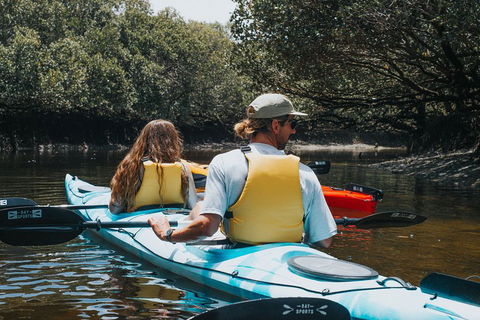 Kayak Tour In Adelaide Dolphin Sanctuary - Book Restaurant 2