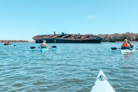 Kayak Tour In Adelaide Dolphin Sanctuary - Book Restaurant 3