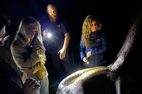 Evening Rainforest & Glow Worm Experience - Book Restaurant 2