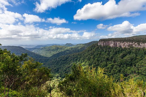 Natural Bridge & Springbrook Waterfalls Tour - Book Restaurant 1