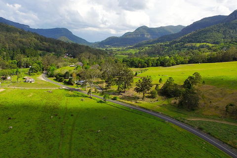 Natural Bridge & Springbrook Waterfalls Tour - Book Restaurant 2