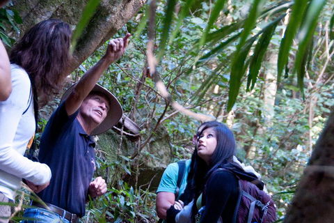 Natural Bridge & Springbrook Waterfalls Tour - Book Restaurant 4