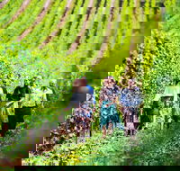 Tasmanian Wine Tour - Book Restaurant