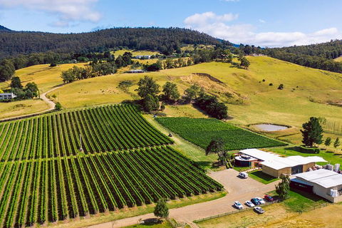 Tasmanian Wine Tour - Book Restaurant 4
