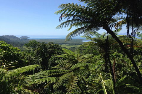 Daintree And Cape Tribulation Full Day Guided Tour - Book Restaurant 2