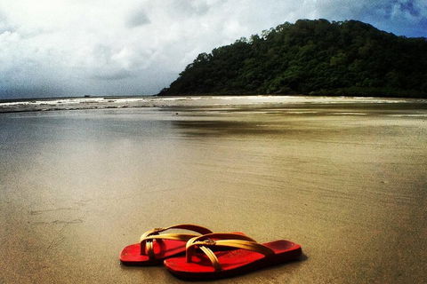 Daintree And Cape Tribulation Full Day Guided Tour - Book Restaurant 4