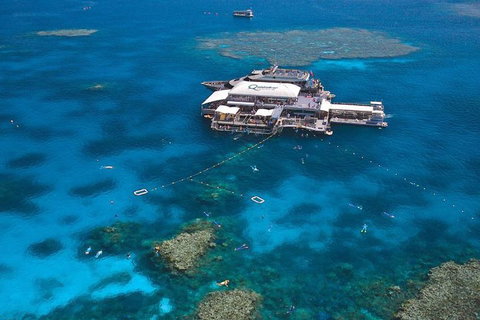 Quicksilver Outer Great Barrier Reef Snorkel Cruise From Palm Cove - Book Restaurant 1