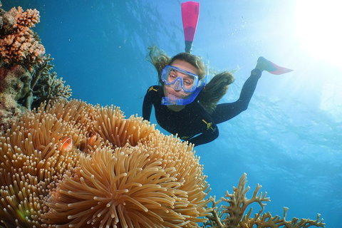 Quicksilver Outer Great Barrier Reef Snorkel Cruise From Palm Cove - Book Restaurant 2