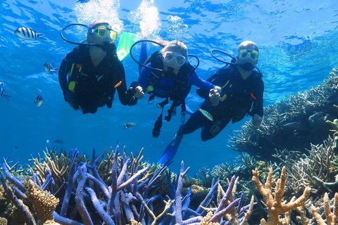 Quicksilver Outer Great Barrier Reef Snorkel Cruise From Palm Cove - Book Restaurant 3