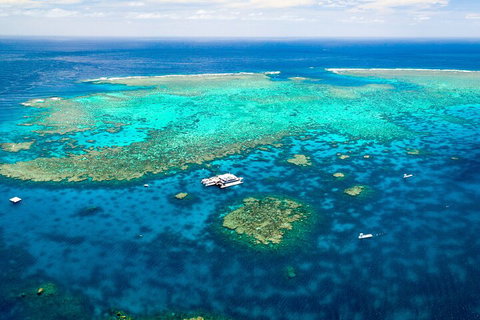 Quicksilver Outer Great Barrier Reef Snorkel Cruise From Palm Cove - Book Restaurant 4
