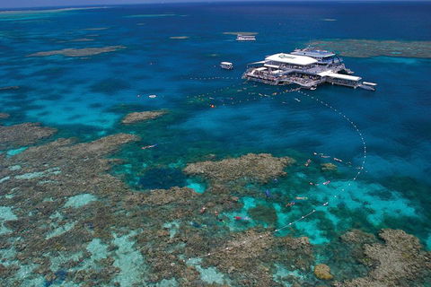 Quicksilver Outer Great Barrier Reef Snorkel Cruise From Port Douglas - Book Restaurant 3