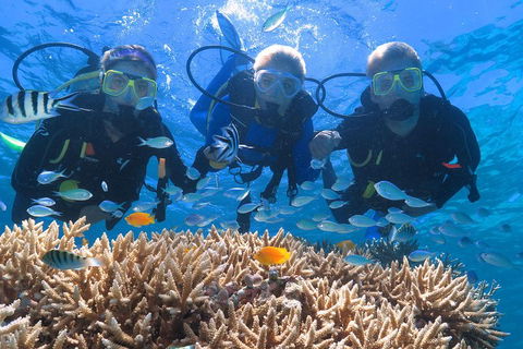 Quicksilver Outer Great Barrier Reef Snorkel Cruise From Port Douglas - Book Restaurant 4