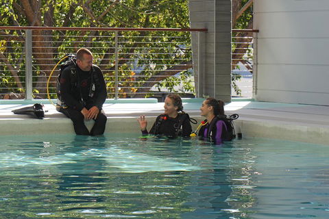 Quicksilver Dive 4 Day PADI Learn To Dive Course - Book Restaurant 3