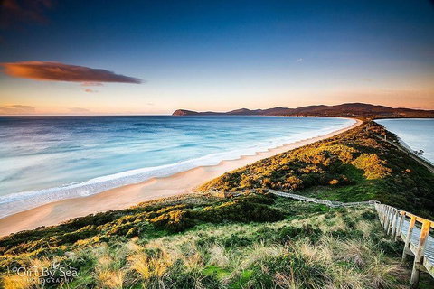 Bruny Island Private Charter Service - Book Restaurant 0