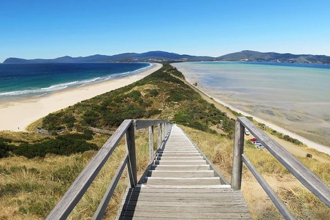 Bruny Island Private Charter Service - Book Restaurant 4