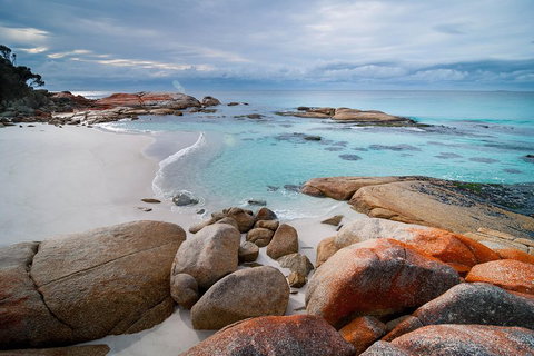 Wineglass Bay Private Charter Service - Book Restaurant 0