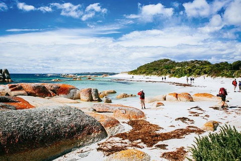 Wineglass Bay Private Charter Service - Book Restaurant 3