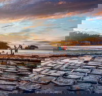 Port Arthur Private Charter Service - Book Restaurant