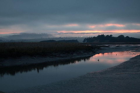 Launceston Private Charter Service - Book Restaurant 1