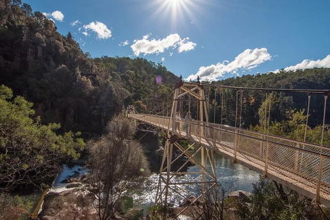 Launceston Private Charter Service - Book Restaurant 5