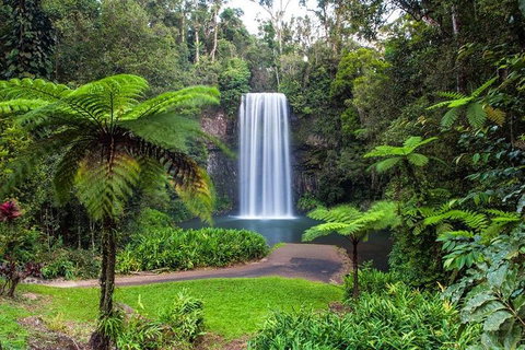 Cairns & Port Douglas All-Inclusive 7 Days Touring Package - Book Restaurant 2