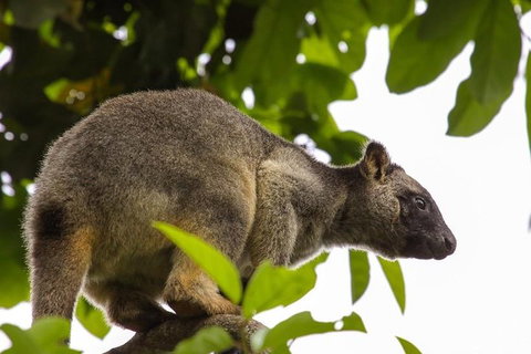 Cairns & Port Douglas All-Inclusive 7 Days Touring Package - Book Restaurant 3