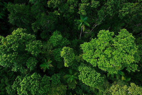 Cairns & Port Douglas All-Inclusive 7 Days Touring Package - Book Restaurant 4