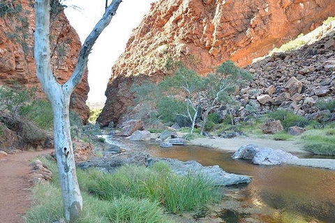 Alice Springs, Uluru Ayers Rock & Kings Canyon 8 Days Touring Package - Book Restaurant 2