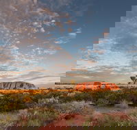 Uluru Kata Tjuta and Kings Canyon Camping Safari from Alice Springs - Book Restaurant