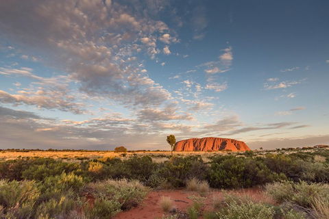 Uluru, Kata Tjuta And Kings Canyon Camping Safari From Alice Springs - Book Restaurant 0