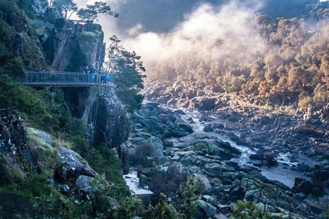 3.5 Hours Walking Tour To Cataract Gorge With Local Guide - Book Restaurant 1