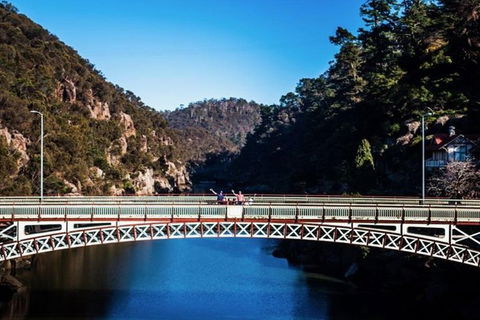 3.5 Hours Walking Tour To Cataract Gorge With Local Guide - Book Restaurant 4