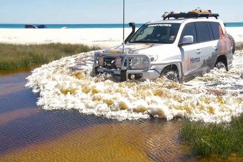 Full-Day Moreton Island 4x4 Sightseeing Tour - Book Restaurant 0