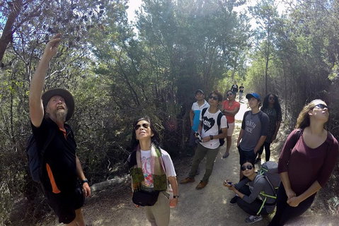 Active Day Tour One-Way From Launceston To Hobart Via Wineglass Bay - Book Restaurant 0