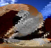 Full-Day Kangaroo Island Safari from Penneshaw - Book Restaurant