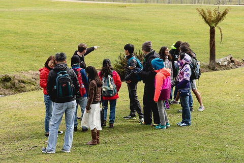 Grand Port Arthur With Guided Isle Of The Dead Tour - Book Restaurant 3