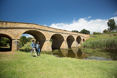 Bonorong Wildlife Park and Richmond Afternoon Tour from Hobart