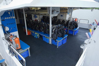 Silverswift Outer Great Barrier Reef Dive and Snorkel Cruise from Cairns