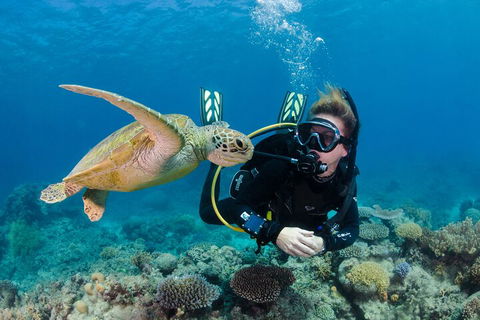 Silverswift Outer Great Barrier Reef Dive And Snorkel Cruise From Cairns - Book Restaurant 2