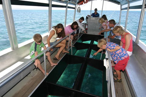 Green Island Discovery Including Glass Bottom Boat Tour Departing Cairns - Book Restaurant 5
