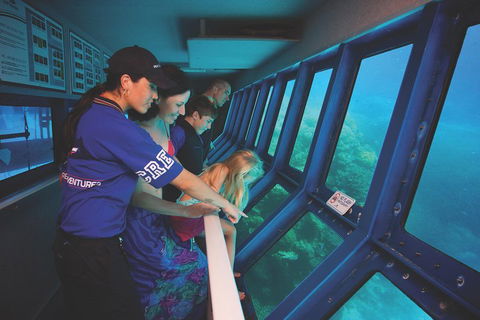 Great Barrier Reef Adventure From Cairns - Book Restaurant 0