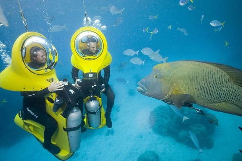 Great Barrier Reef Adventure From Cairns - Book Restaurant 2