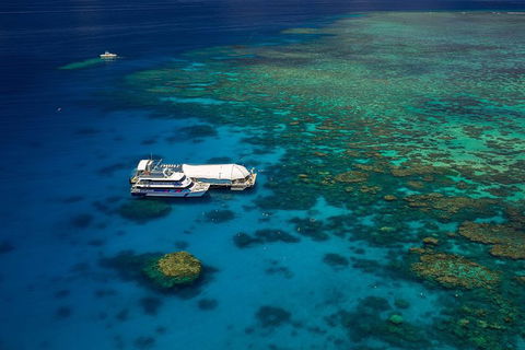 Great Barrier Reef Adventure From Cairns - Book Restaurant 4
