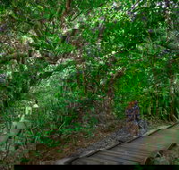 Green Island Eco Adventure from Cairns - Book Restaurant