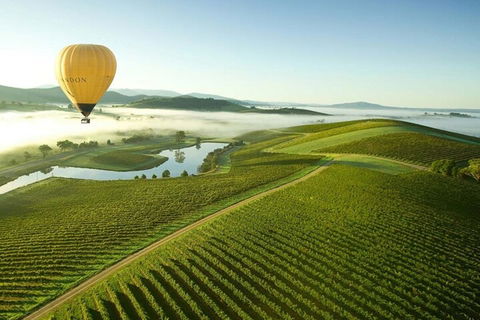 Half-Day Or Full-Day Tour With Private Guide From Melbourne - Book Restaurant 4