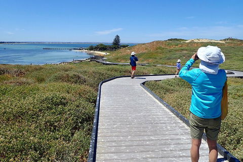 Penguin And Seal Islands Sea Kayaking Experience - Book Restaurant 1
