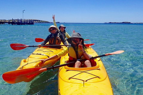 Penguin And Seal Islands Sea Kayaking Experience - Book Restaurant 4