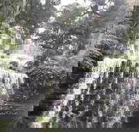 6-Day Hearty Tasmania Tour Tasmania in a Circle - Book Restaurant