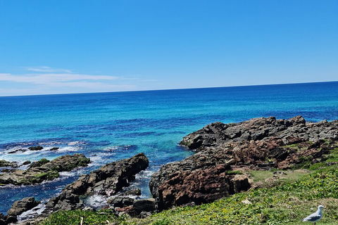 Private Custom Byron Bay Day Out - Book Restaurant 4